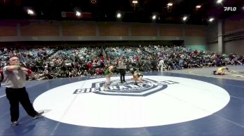 120 lbs Semifinal - Hannah Naccarati-Cholo, Basha vs Aliyah White, Casa Grande