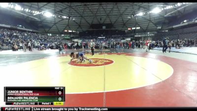 135 lbs 1st Place Match - Benjamin Palencia, Damaged Ear Wrestling Club vs Junior Benthin, Askeo International Mat Club