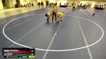 172 Championship Bracket Champ. Round 2 - Creed Peterson, Hastings vs AJ Garcia, Apple Valley