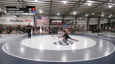 92 kg Champ. Rd Of 64 - Gavin Gaylor, Ashland University vs Anthony Bruscino, Navy Wrestling Club
