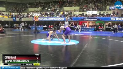157 lbs Semifinal - Peter Kane, Williams College vs Cooper Pontelandolfo, NYU