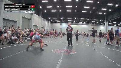 125 lbs Round 1 (4 Team) - Vincenzo Mannello, Mat Assassins vs Kalob Rodriguez, Arrhichions Will Elite