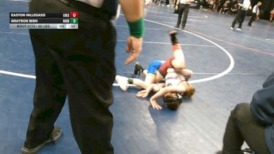 60 lbs Final - Easton Hillegass, Chestnut Ridge vs Grayson Bish, Harborcreek