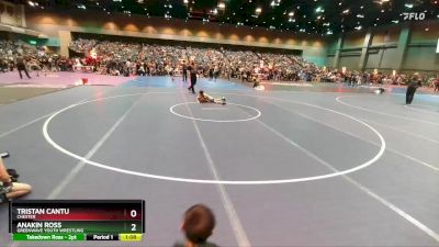 51-54 lbs Round 1 - Tristan Cantu, Chester vs Anakin Ross, Greenwave Youth Wrestling