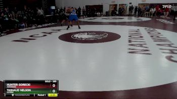 285 lbs Champ. Round 2 - Hunter Gorecki, Augsburg vs Tashaud Nelson, Luther