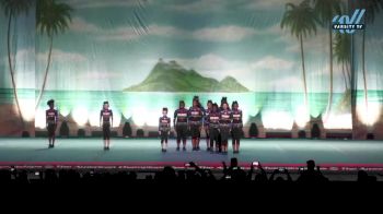 Davis Allstar Gym Inc - Insanity [2023 L2 Youth - D2 Day 2] 2023 The American Open Orlando Nationals