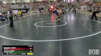 AA 132 lbs Semifinal - Ethan Lipsey, Bradley Central vs Michael Posey, Summit