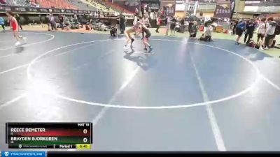 113 lbs Cons. Round 2 - Brayden Bjorkgren, IA vs Reece Demeter, IL