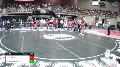 1A 157 lbs Quarterfinal - Tesler Fields, Milford vs Cale Agamaite, Diamond Ranch Academy