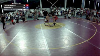 106 lbs Cons. Round 2 - Tyler Quarles, Elite Athletic Club vs Aiden Healey, Crystal Lake Wizards Wrestling Club