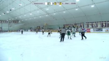 Replay: Home - 2025 Delta Hockey Academy vs Pilot Mound | Feb 23 @ 11 AM