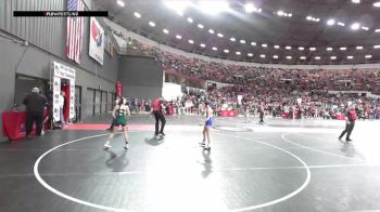 95 lbs Champ. Round 2 - Laney Wallace, Saint Croix Falls vs Brynn Johnson, Shiocton