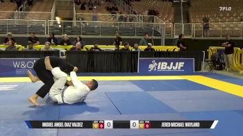 Jered Michael Wayland vs Miguel Angel Diaz Valdez 2025 Pan Jiu Jitsu IBJJF Championship