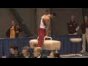 Danell Leyva - Pommel Horse - 2009 Winter Cup Finals