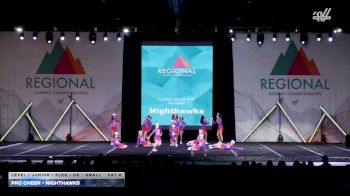 Pro Cheer - Nighthawks [2026 L1 Junior - Flex - D2 - Small Day 2] 2026 The Southeast Regional Summit