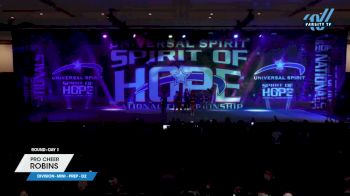 Pro Cheer - Robins [2024 L1.1 Mini - PREP - D2 Day 1] 2024 Spirit of Hope Grand Nationals