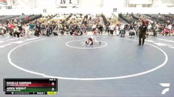 70 lbs 5th Place Match - Aiden Wright, Brawlers Elite vs Navelle Hawkins, SV Saber Den Wrestling