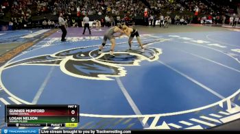 Quarterfinal - Logan Nelson, Wisner-Pilger vs Gunner Mumford, Thayer Central