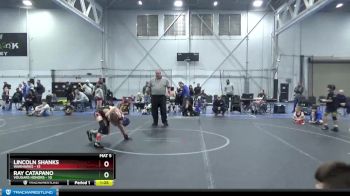 72 lbs Round 3 (4 Team) - Ray Catapano, Vougars Honors vs Lincoln Shanks, Warhawks