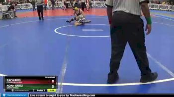 113 lbs Semifinal - Zach Rios, Loudoun County vs Noah Ortiz, Great Bridge