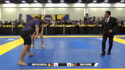 Josue Aguirre vs Shane William Hall 2024 World IBJJF Jiu-Jitsu No-Gi Championship