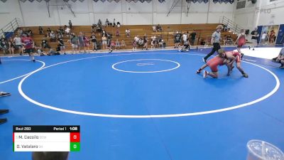 100 lbs 5th Place Match - Manuel Cacoilo, Daniel Cormier WA vs Dakota Vatalaro, Spring Hills