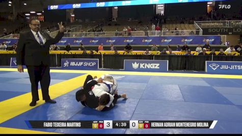 Hernan Adrian Montenegro Molina vs Fabio Teixeira Martins 2026 Pan Jiu Jitsu IBJJF Championship
