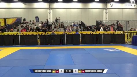 Anthony David Arnal vs Fabbio Passos De Alencar 2024 World IBJJF Jiu-Jitsu No-Gi Championship