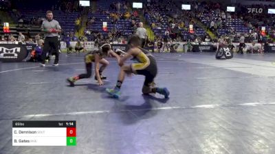 65 lbs Consy 4 - Cael Dennison, South Fayette vs Bryce Gates, River Valley