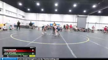 167 lbs Round 1 (4 Team) - Jack Wyland, Palmetto State Academy Gold vs Noah Boozer, Knockout Warcats