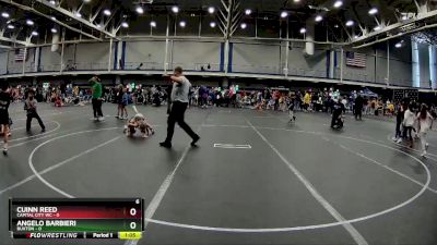 48 lbs Round 4 (6 Team) - Angelo Barbieri, Buxton vs Cuinn Reed, Capital City WC