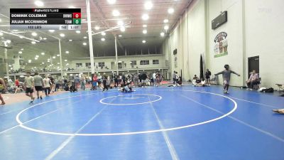 102 lbs Rr Rnd 2 - Dominik Coleman, Carpe Diem - HSC vs Julian McCrinnon, Team Diamond Fish - HSC