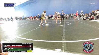 92 lbs Champ. Round 1 - Thomas Steinkirchner, SlyFox vs Cael Leslie, Open Mats