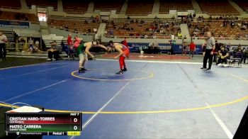 D2-215 lbs Champ. Round 1 - Cristian Haro-Torres, Centennial vs Mateo Carrera, Campo Verde