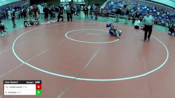 14U Boys - 105 lbs Cons. Round 2 - Carson Nichols, Wentzville Wrestling Federation vs Carson Underwood, Red Cobra Wrestling Academy