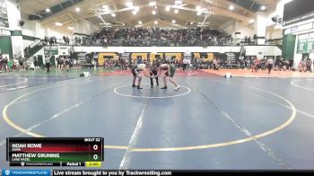 171 lbs Quarterfinal - Matthew Gruning, Lake Hazel vs Noah Rowe, Kuna