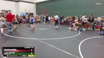 80 lbs Quarterfinal - Luke Nelson, Hard Rock vs Colton Harris, Palmetto State Wrestling