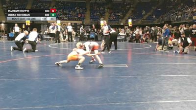 65 lbs 3rd Place - Jackson Rappo, Central Bucks vs Lucas Schuman, Honesdale
