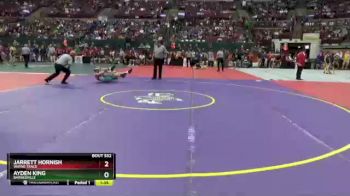 D3-144 lbs Quarterfinal - Jarrett Hornish, Wayne Trace vs Ayden King, Barnesville