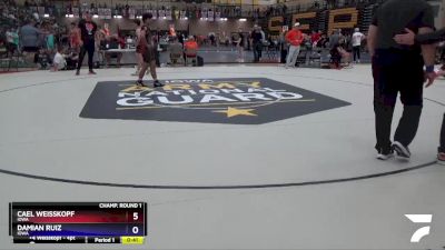 157 lbs Champ. Round 1 - Damian Ruiz, Iowa vs Cael Weisskopf, Iowa
