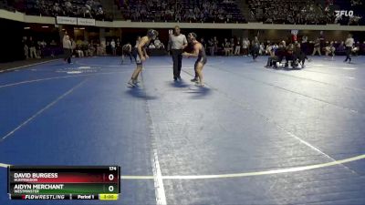 174 lbs Cons. Round 2 - Aidyn Merchant, Westminster vs David Burgess, Huntingdon