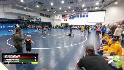 63 lbs Cons. Round 2 - Dominic Brower, Windy City Wrestlers vs Cain Monsouir, Casper Wrestling Club