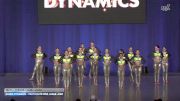 Dance Dynamics - Youth Elite Pink Large Jazz [2026 Youth - Premier - Jazz - Large] 2026 NDA All-Star National Championship