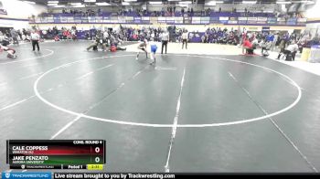 141 lbs Cons. Round 4 - Jake Penzato, Aurora Universtiy vs Cale Coppess, Wheaton (IL)