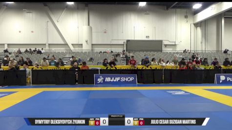 Julio Cesar Suzigan Martins vs Dymytriy Oleksiyovych Zyunkin 2025 World IBJJF Jiu-Jitsu No-Gi Championship