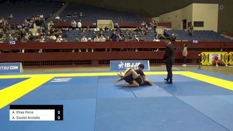 Adam Elias Pena vs Arturo Daniel Amodio 2024 Pan IBJJF Jiu-Jitsu No-Gi Championship