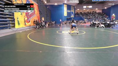 113 lbs Cons. Round 2 - Dylan Hetzel, Washington Township vs Peyton Friedman, St Paul VI Catholic