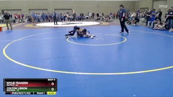 115 lbs Placement (4 Team) - Wylie Franzen, Buffalo vs Colton Libson, Brainerd