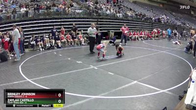 52 lbs Round 2 (6 Team) - Zaylah Castillo, Team Texas Red vs Brinley Johnson, North Dakota 2