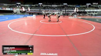 113 lbs Semis & Wb (16 Team) - Carter Martin, Westfield vs Chase Adams, Gloucester